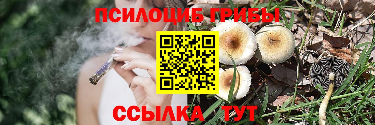 Верхняя Салда  Галлюциногенные грибы мухоморы  продажа наркотиков  Вход с VPN  Псилоцибиновые грибы мицелий 