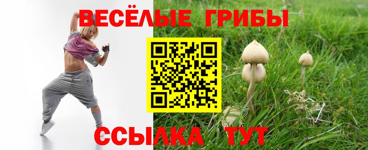 Галлюциногенные грибы Cubensis Верхняя Салда